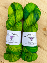 Load image into Gallery viewer, Grass Symphony Deluxe Sock - WeStYarn
