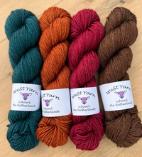 Load image into Gallery viewer, WeStYarn Jade Yarlung DK
