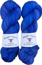 Afbeelding in Gallery-weergave laden, Delphinium Deluxe Sock
