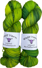 Load image into Gallery viewer, Grass Symphony Deluxe Sock - WeStYarn
