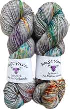 Load image into Gallery viewer, Stardust Merino Sport
