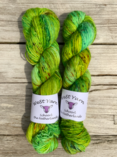 Load image into Gallery viewer, Helm Merino Singles - WeStYarn

