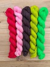 Load image into Gallery viewer, The Sock Essentials #2 Mini Set in Pippi Sock
