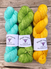 Load image into Gallery viewer, Lime Leaf Merlin - WeStYarn
