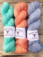 Afbeelding in Gallery-weergave laden, Frost Merlin - WeStYarn
