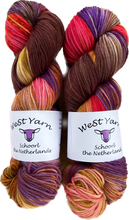 Load image into Gallery viewer, Blueberry Muffin Deluxe Sock - WeStYarn
