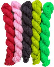 Load image into Gallery viewer, The Sock Essentials #2 Mini Set in Pippi Sock
