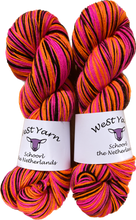 Load image into Gallery viewer, Bold Two WeStYarn Pippi Sock
